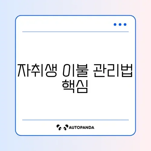 자취생 이불 세탁 주기 완벽 가이드 알아보기 썸네일