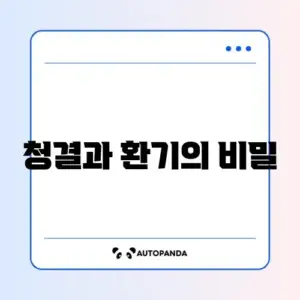 원룸 벌레 생기지 않게 하는 완벽한 방법 알아보기