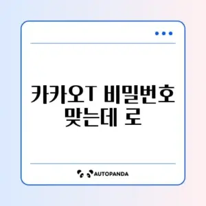 카카오T 비밀번호 맞는데 로그인 실패