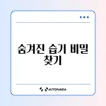 창문 결로가 생기는 이유와 줄이는 완벽한 방법 알아보기