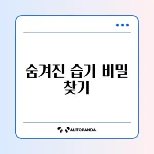 창문 결로가 생기는 이유와 줄이는 완벽한 방법 알아보기