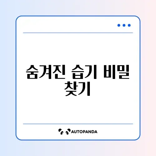 창문 결로가 생기는 이유와 줄이는 완벽한 방법 알아보기