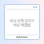 유심 인식 안될 때 집에서 쉽게 해결하는 방법 완벽 정리